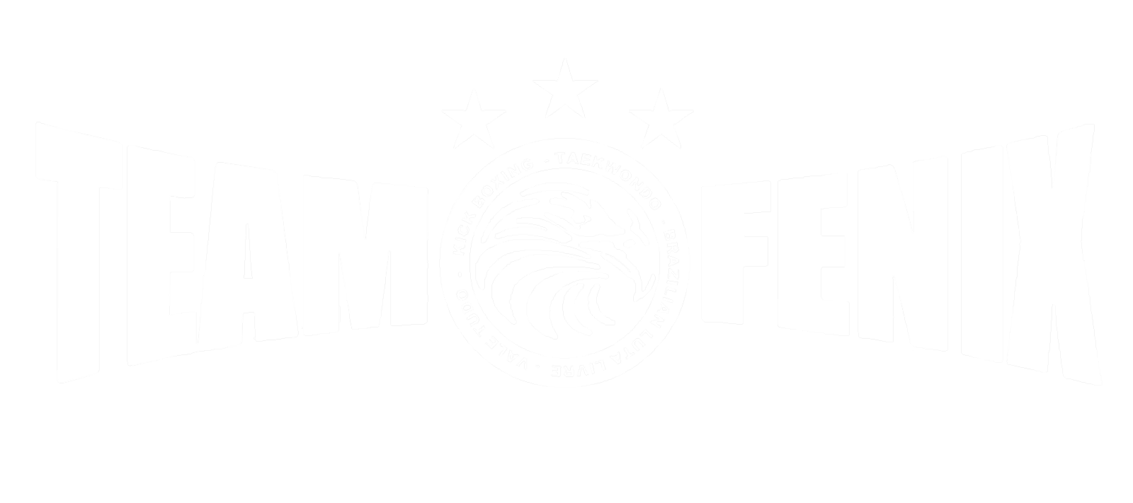 Logo Team Fenix